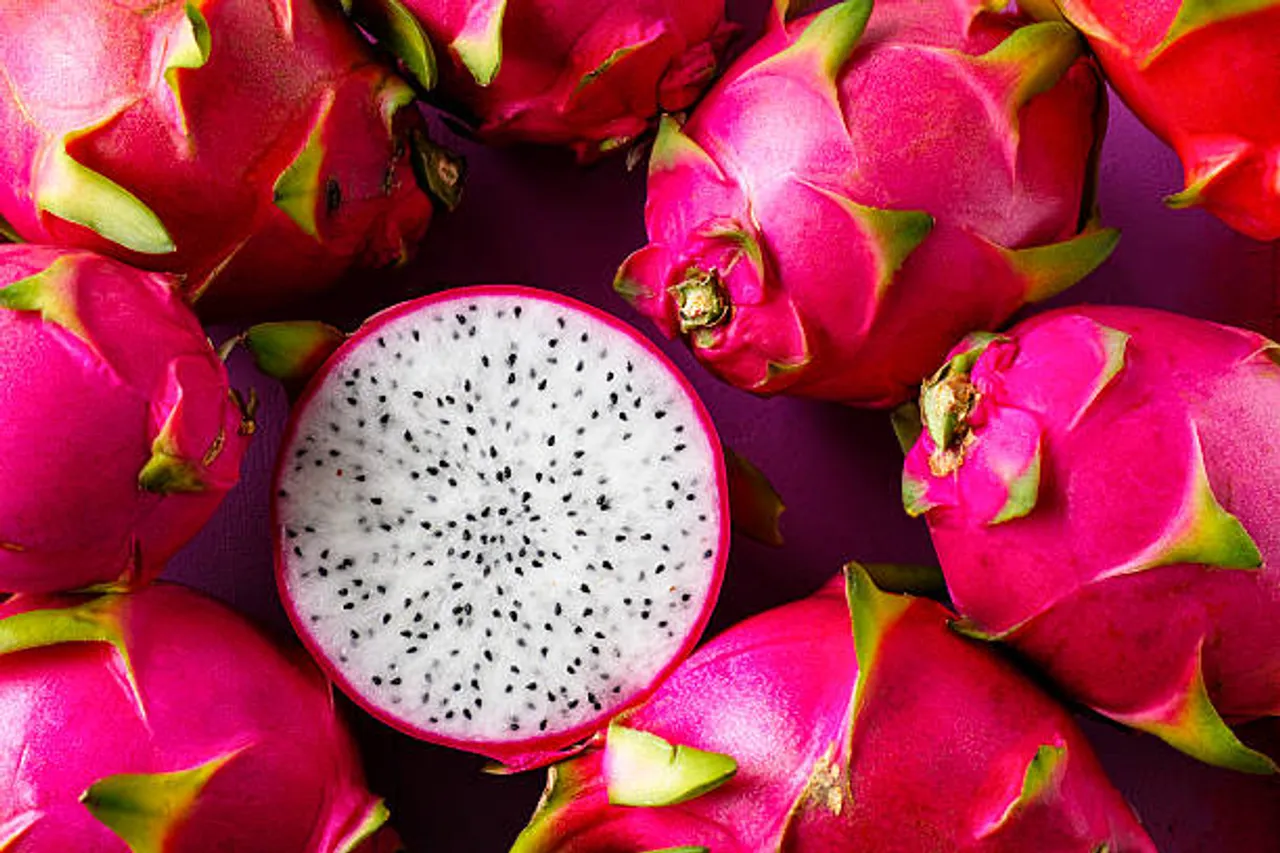 dragon fruit