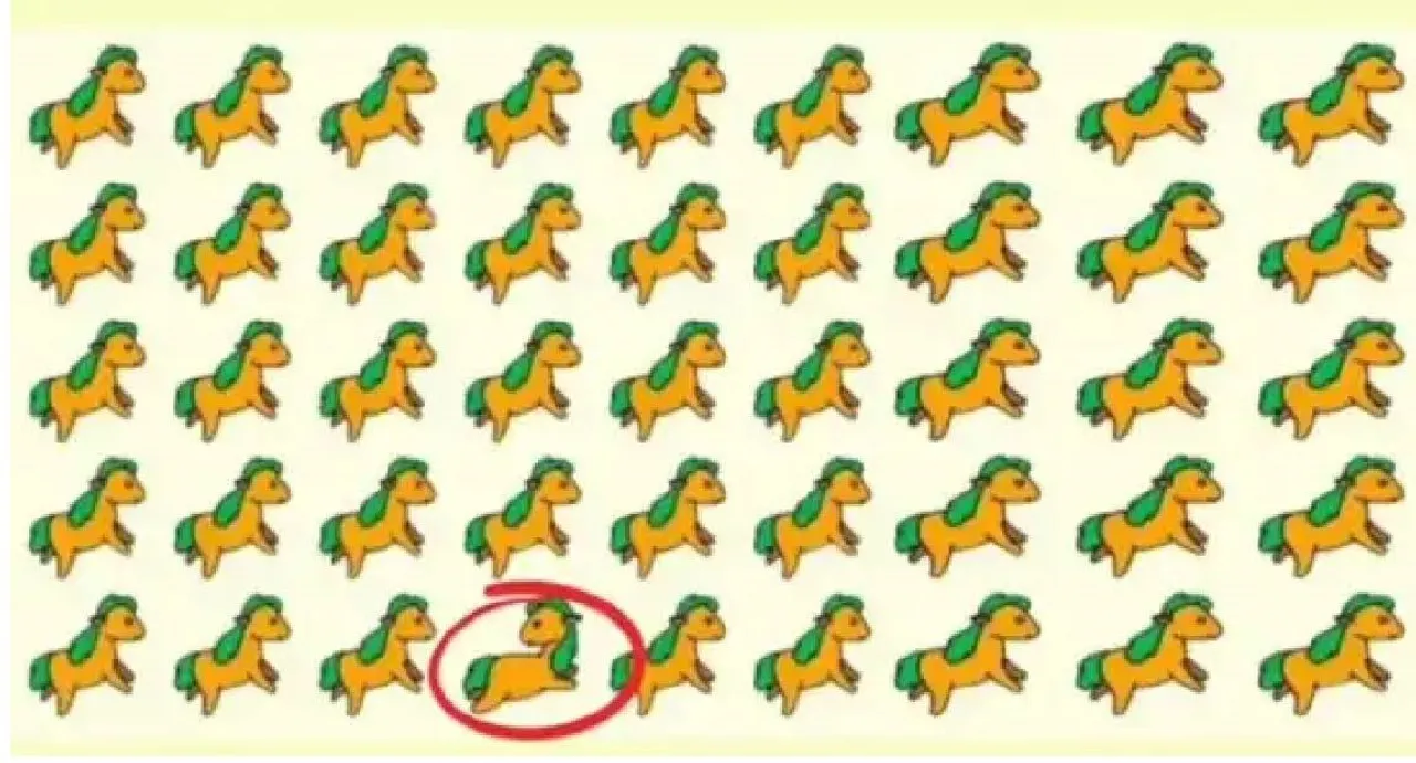 Horse 3  