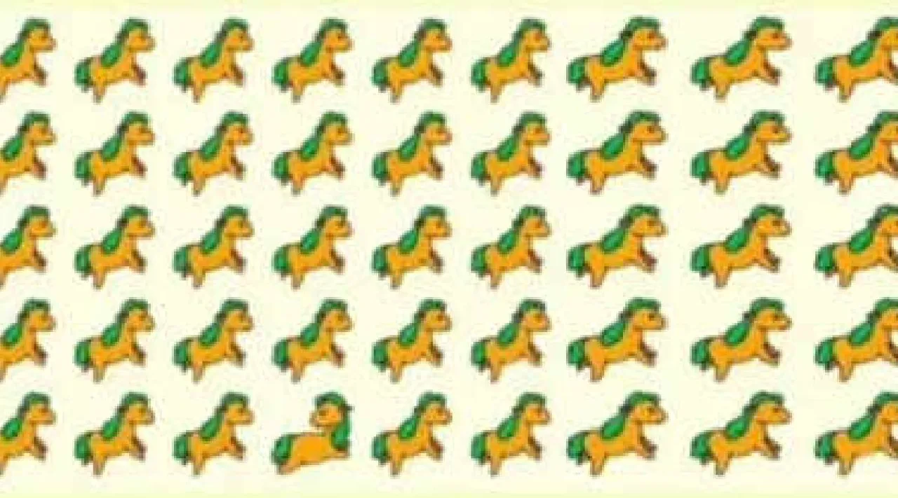 Horse 1 