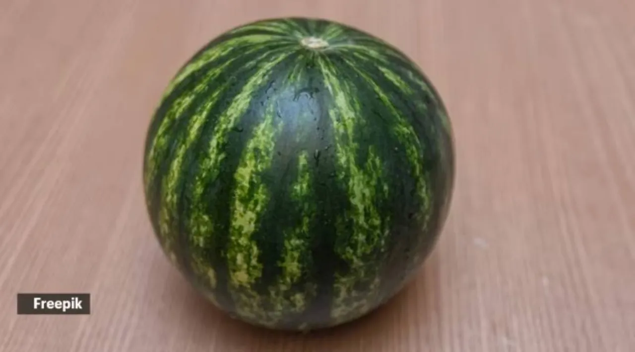 watermelon xy