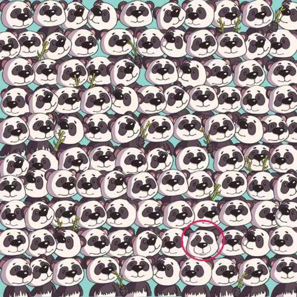 Panda 3