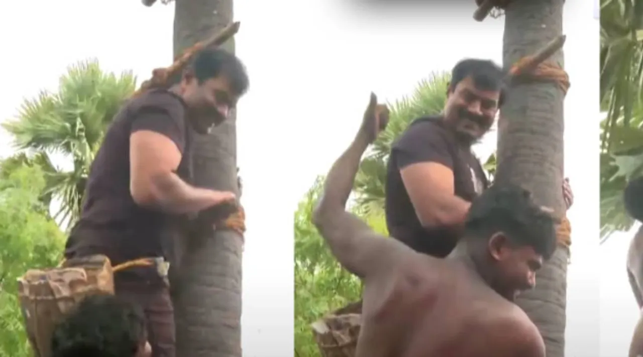 seeman climbed a palm tree