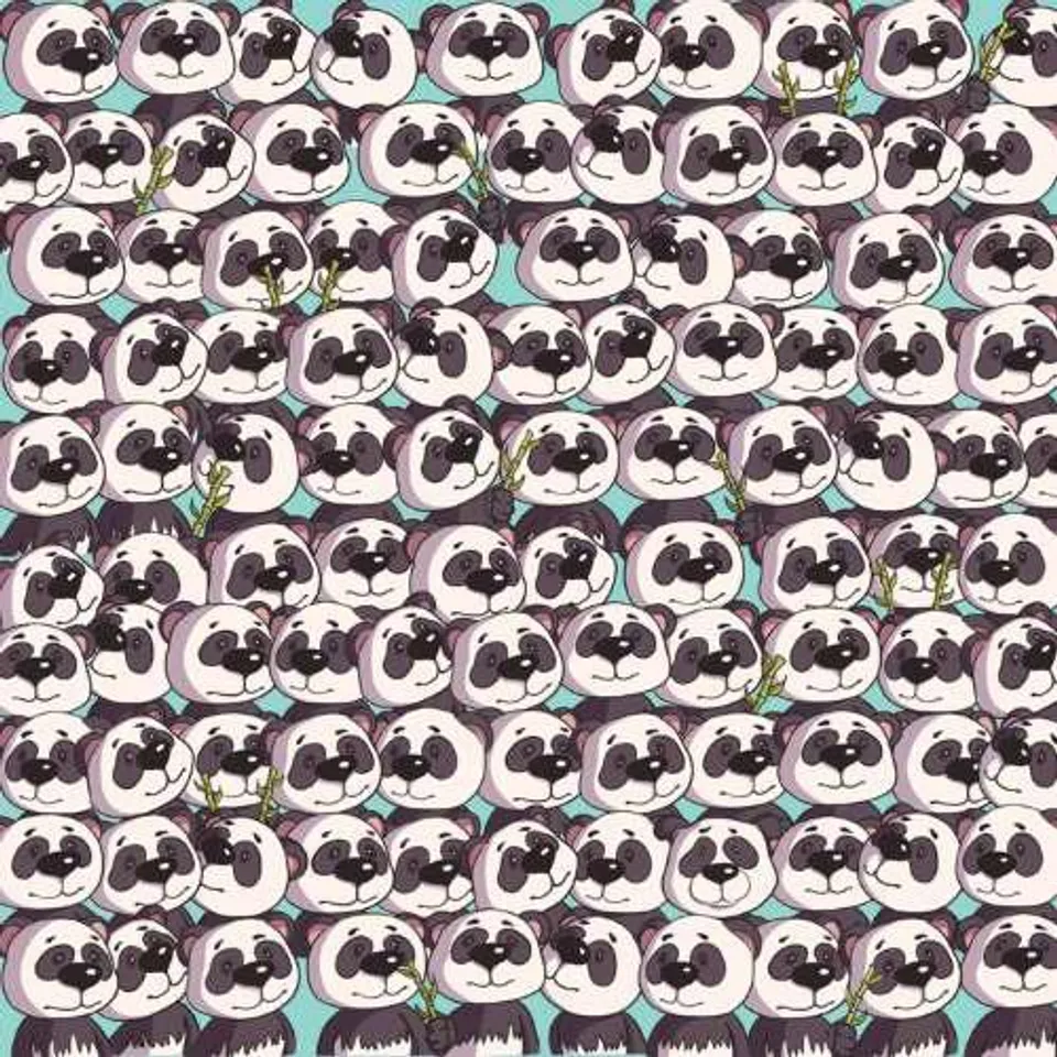 Panda 2