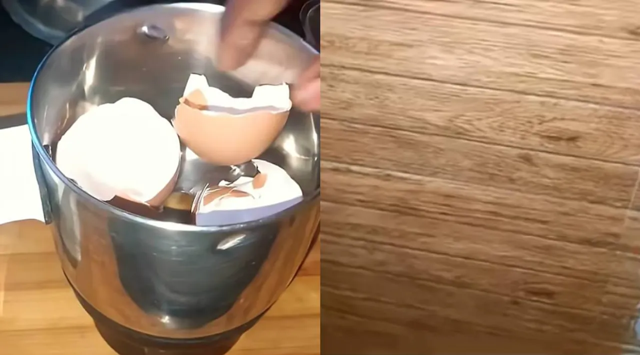 egg