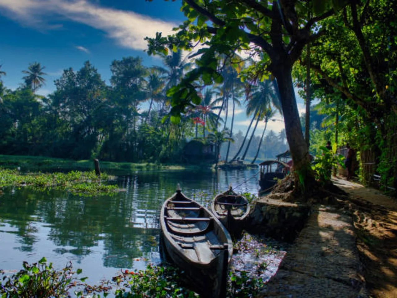 travel