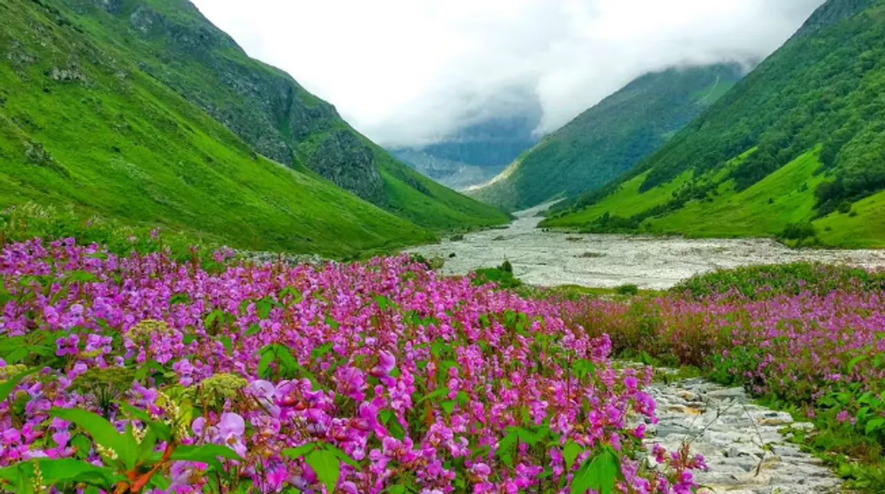 valley of flowers