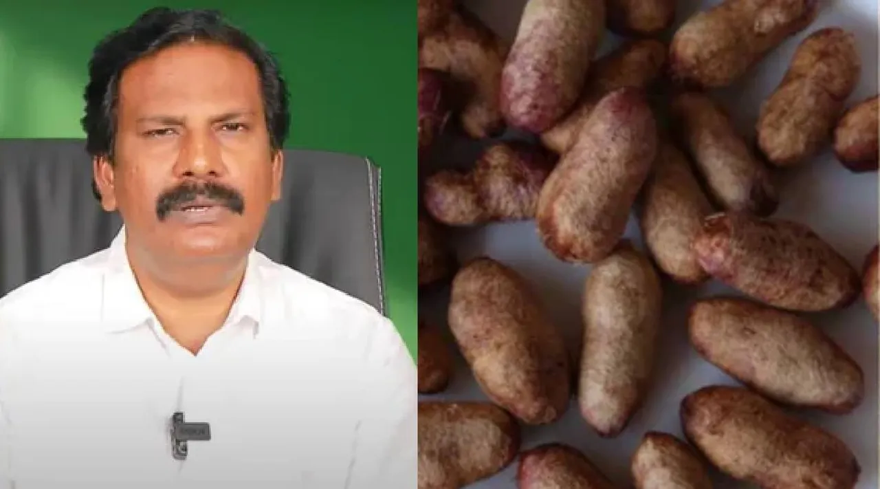 Jamun seed uses