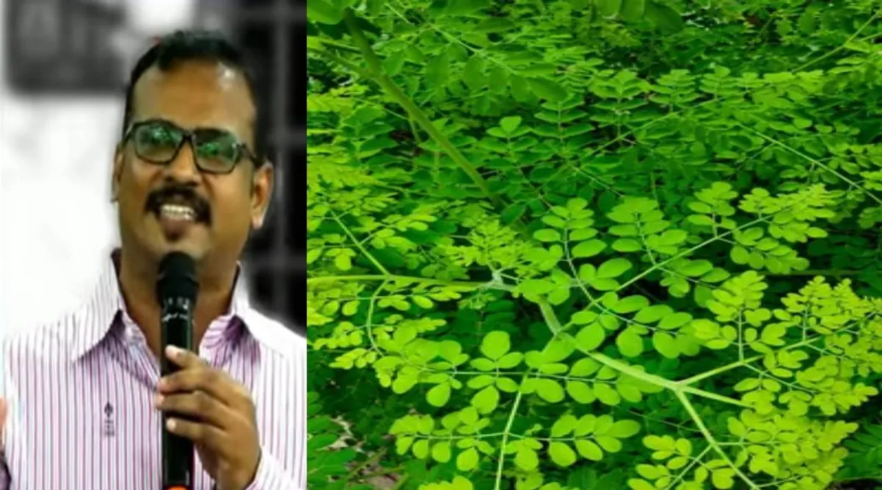 thillai