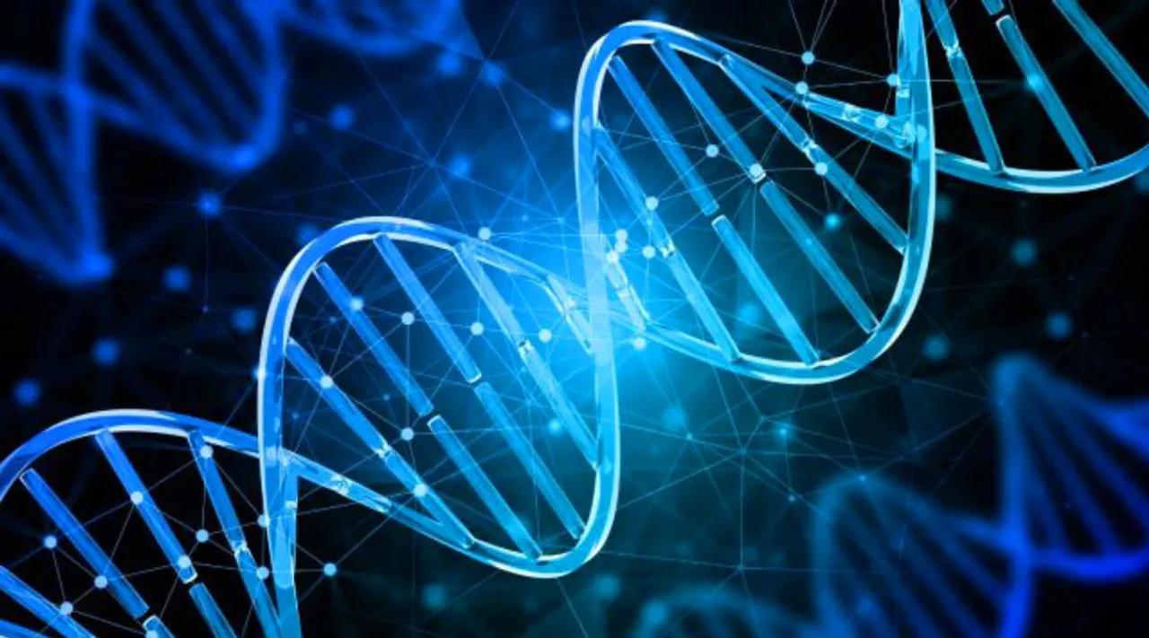 Human-Life-Span