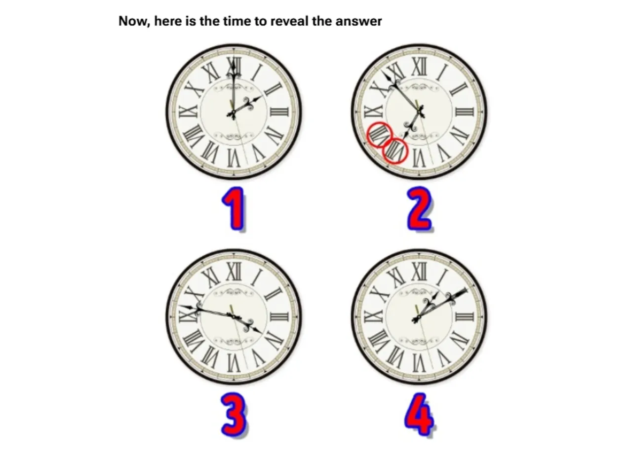 optical illusion