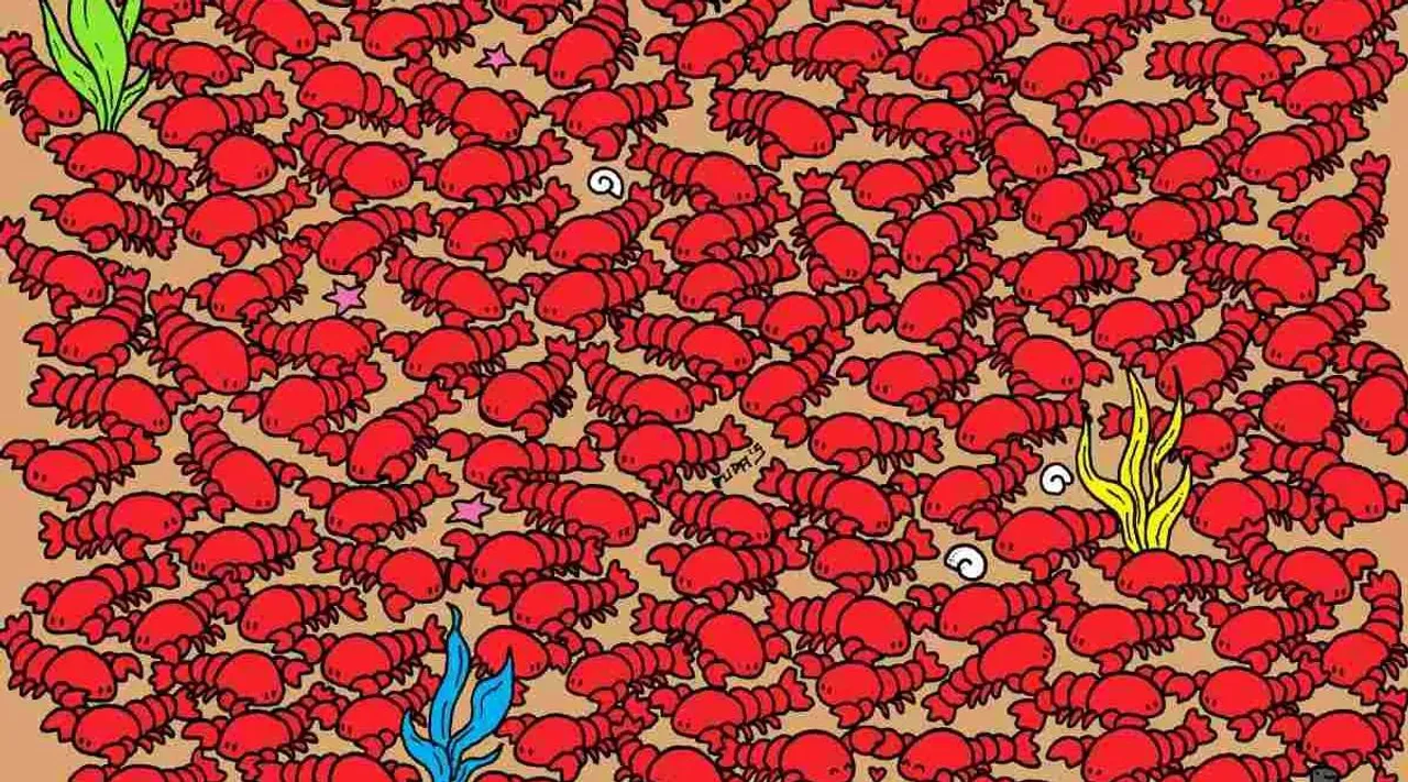 crab 1