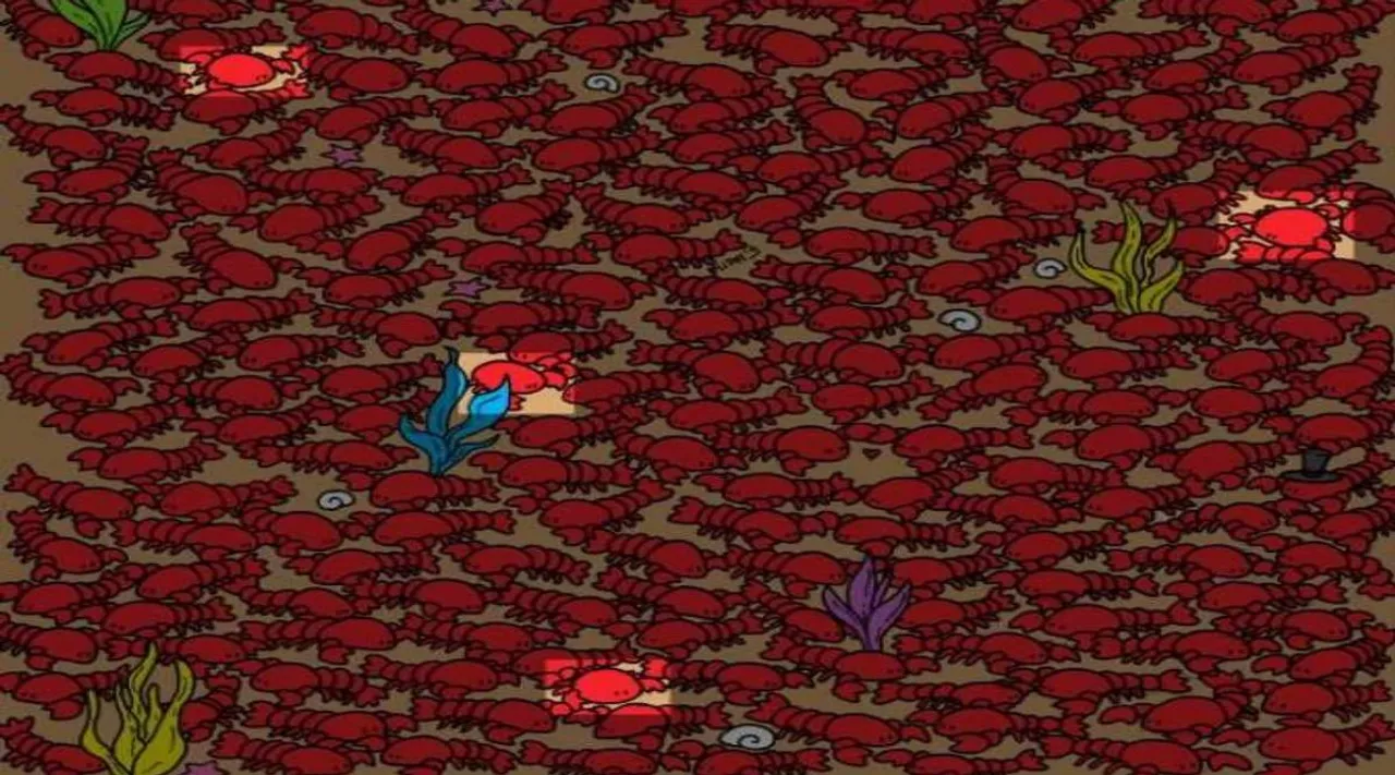 crab 1