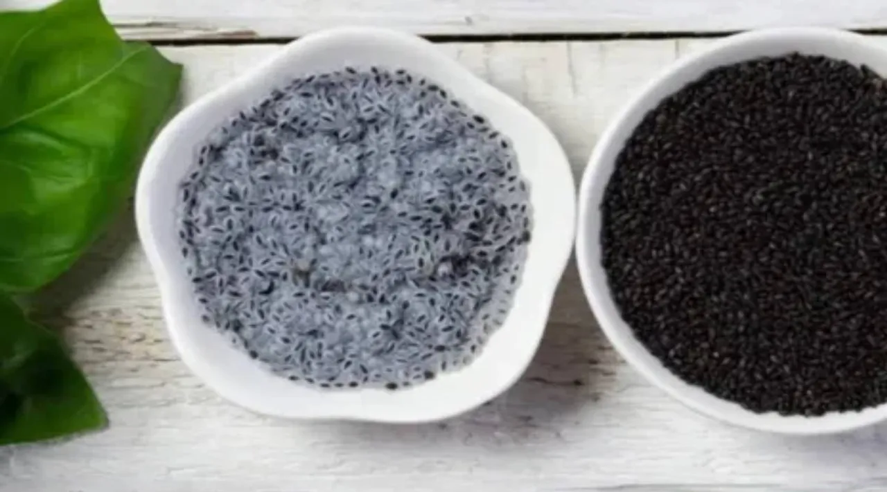 sabja seed