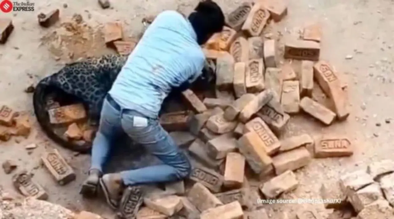 Man fights leopard