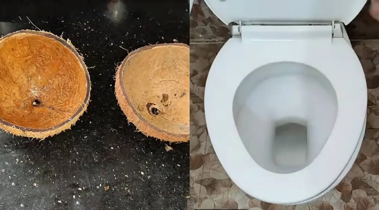 Toilet coconut shell