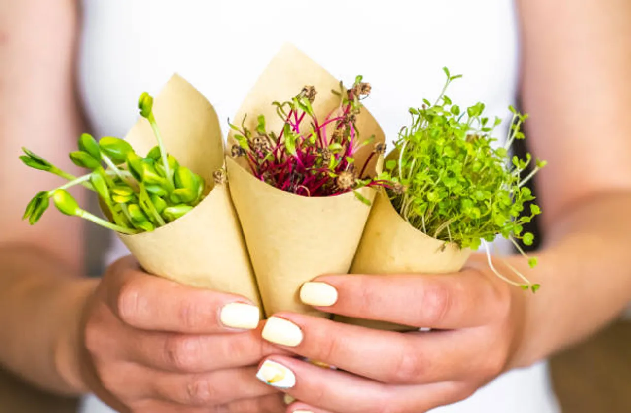 istockphoto-1253827092-612x612