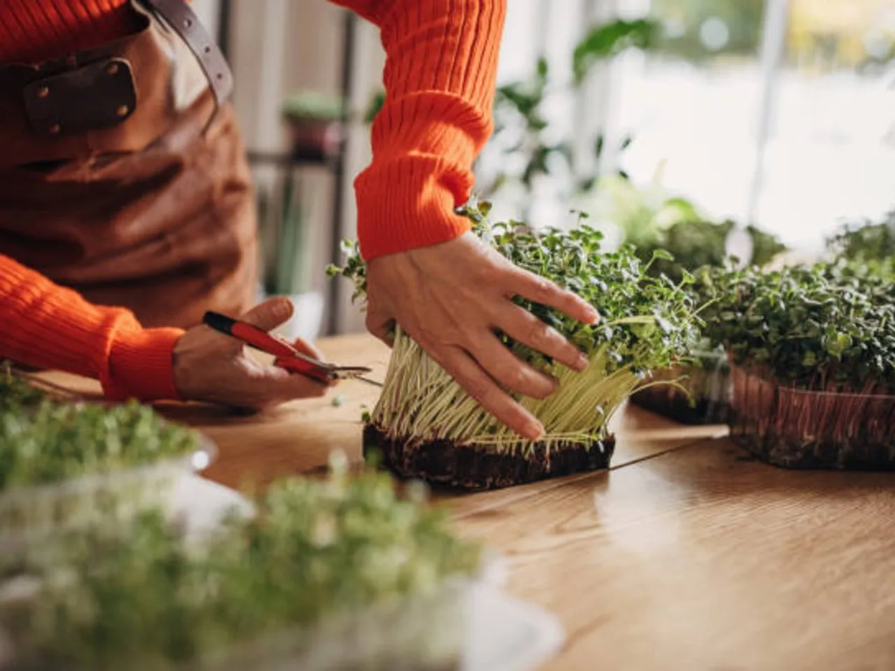 istockphoto-1349140361-612x612 (1)