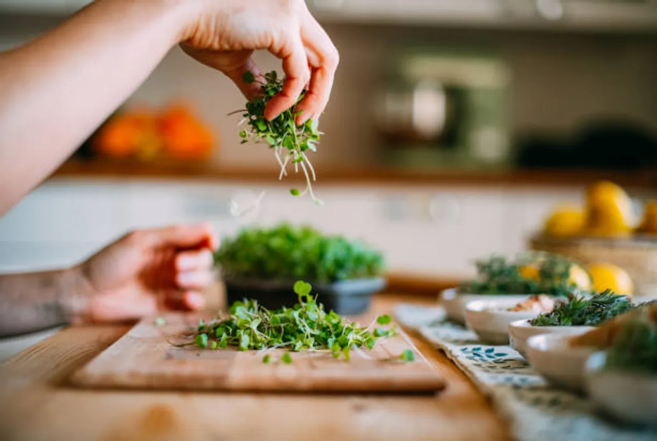 istockphoto-1461683974-612x612