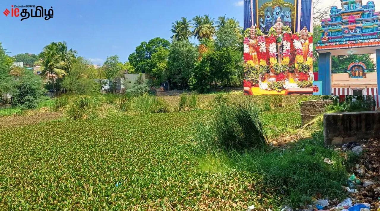 madurai pond 2