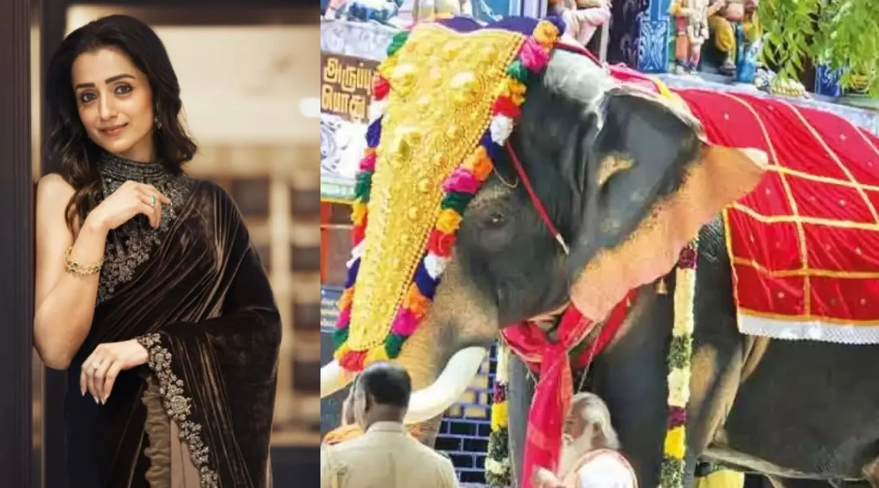 Trisha donate mechanical Gaja elephant Aruppukkottai temple virudhunagar Tamil News