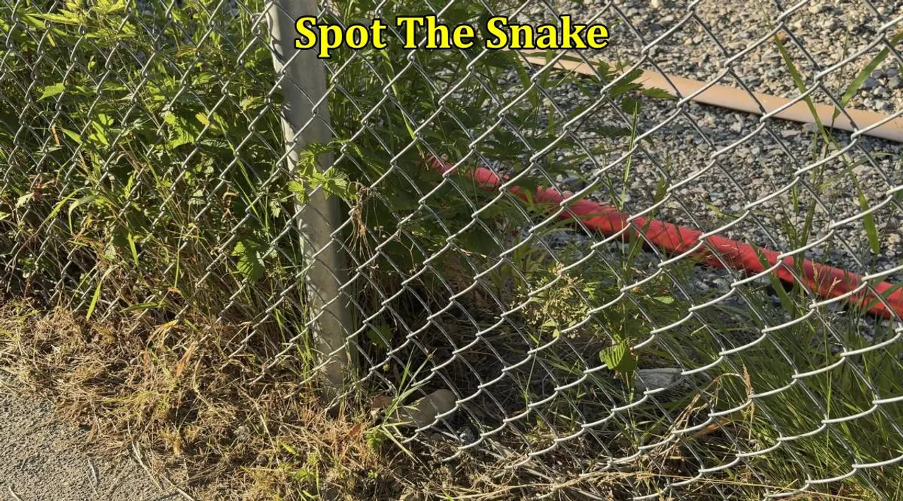 Snake fence 1