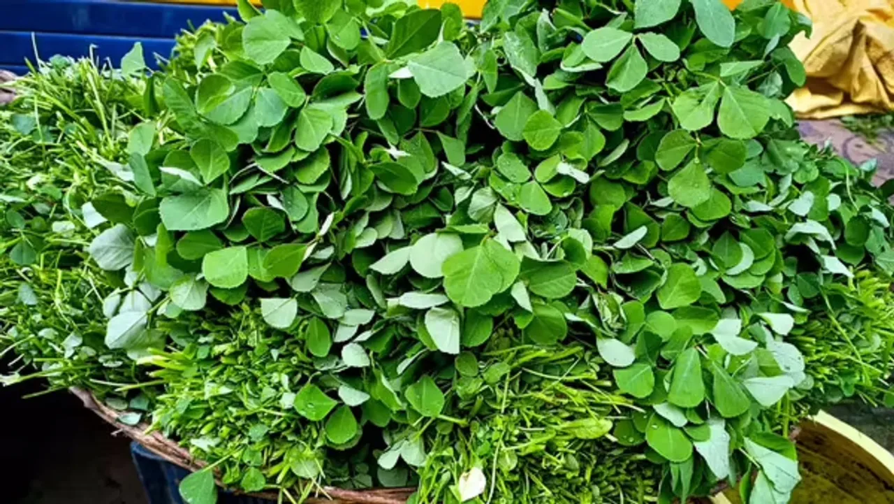 Fenugreek Spinach