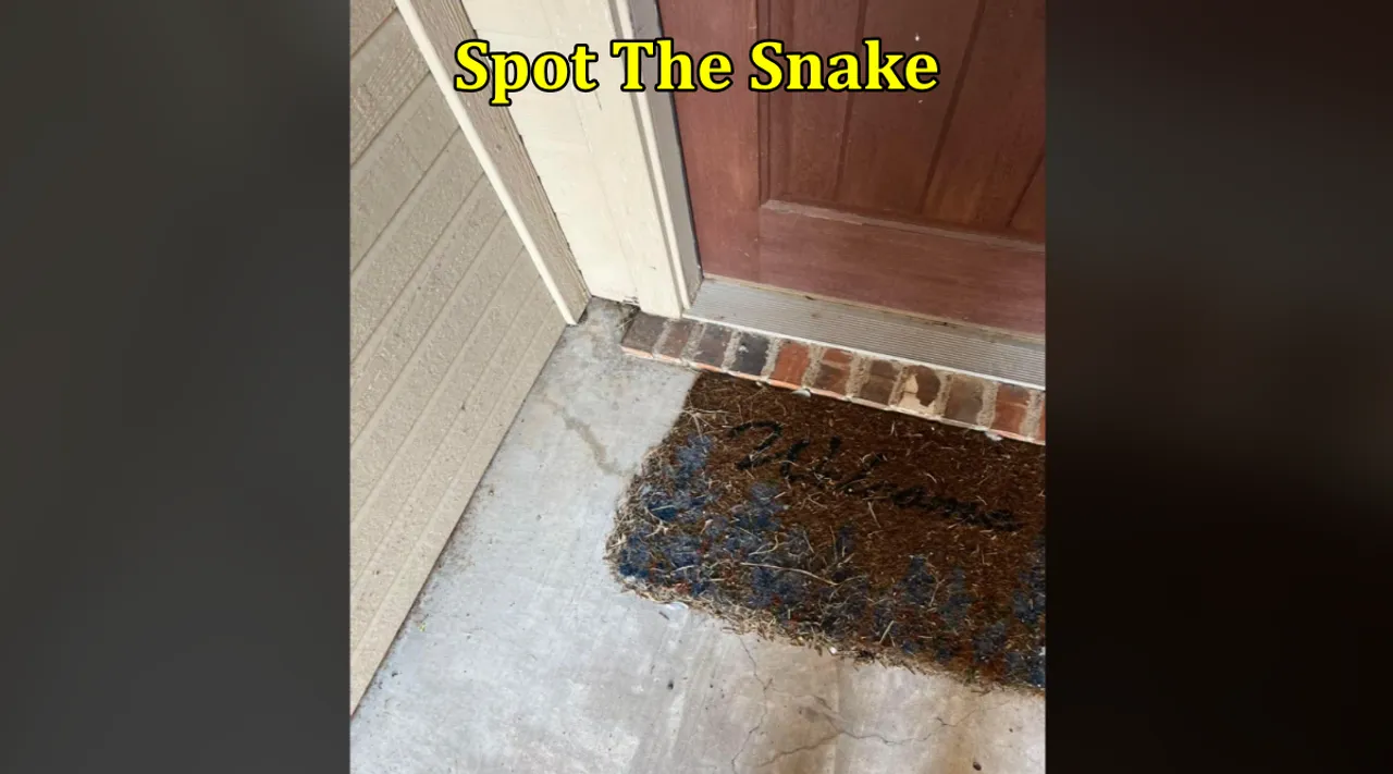 Snake doorstep 1
