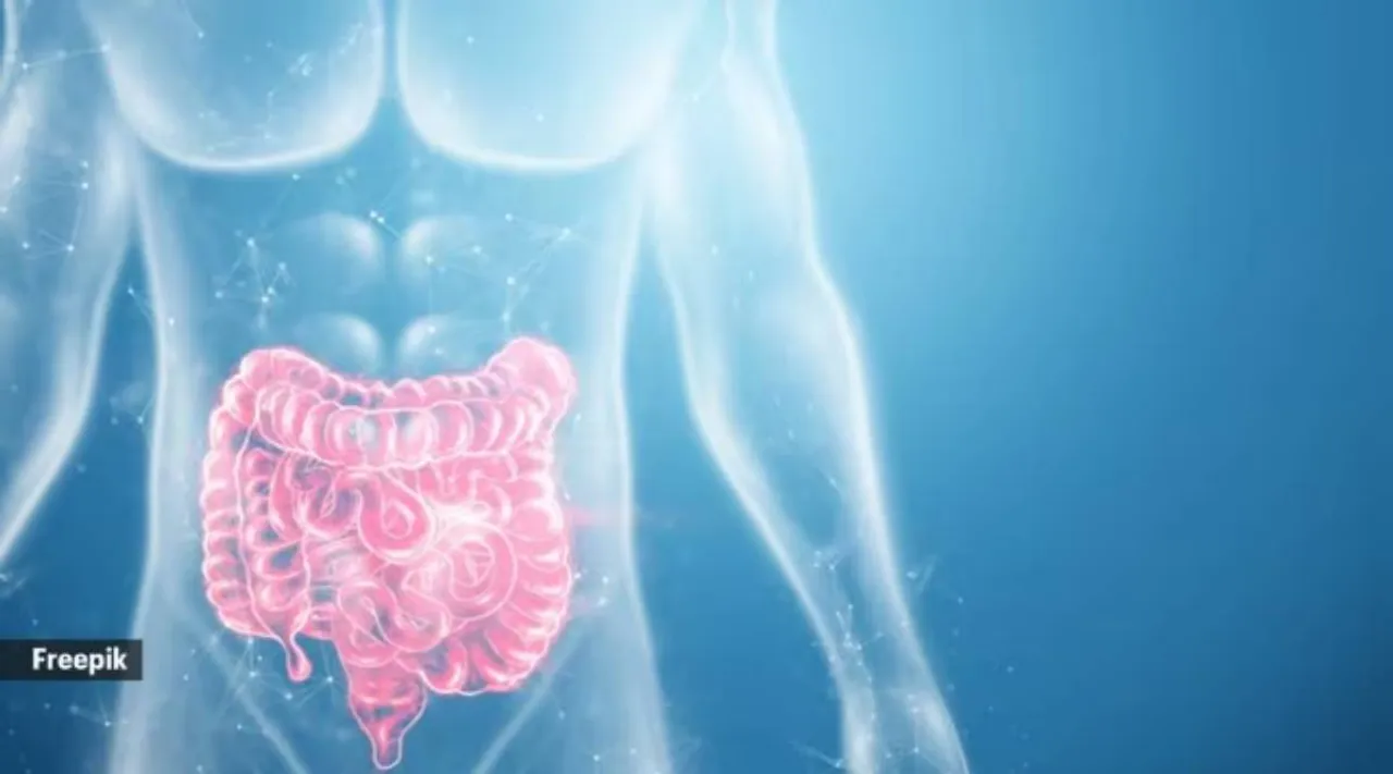 gut health xyz