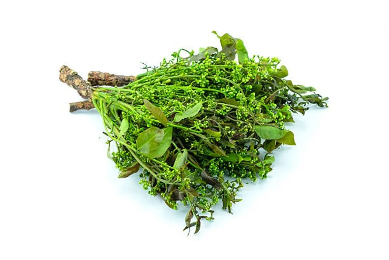 neem flower