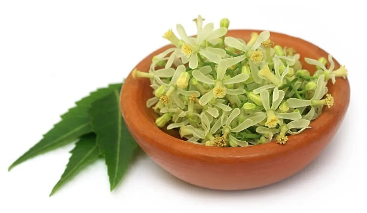 neem flower