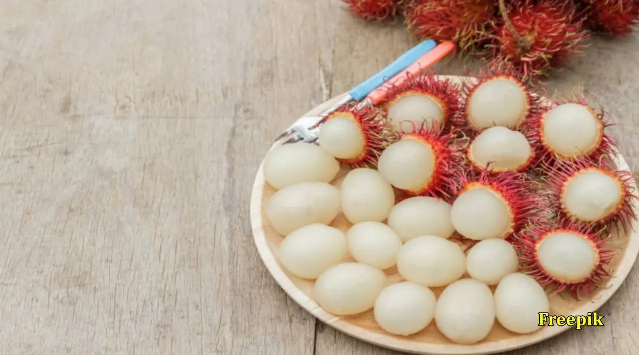 rambutan xy