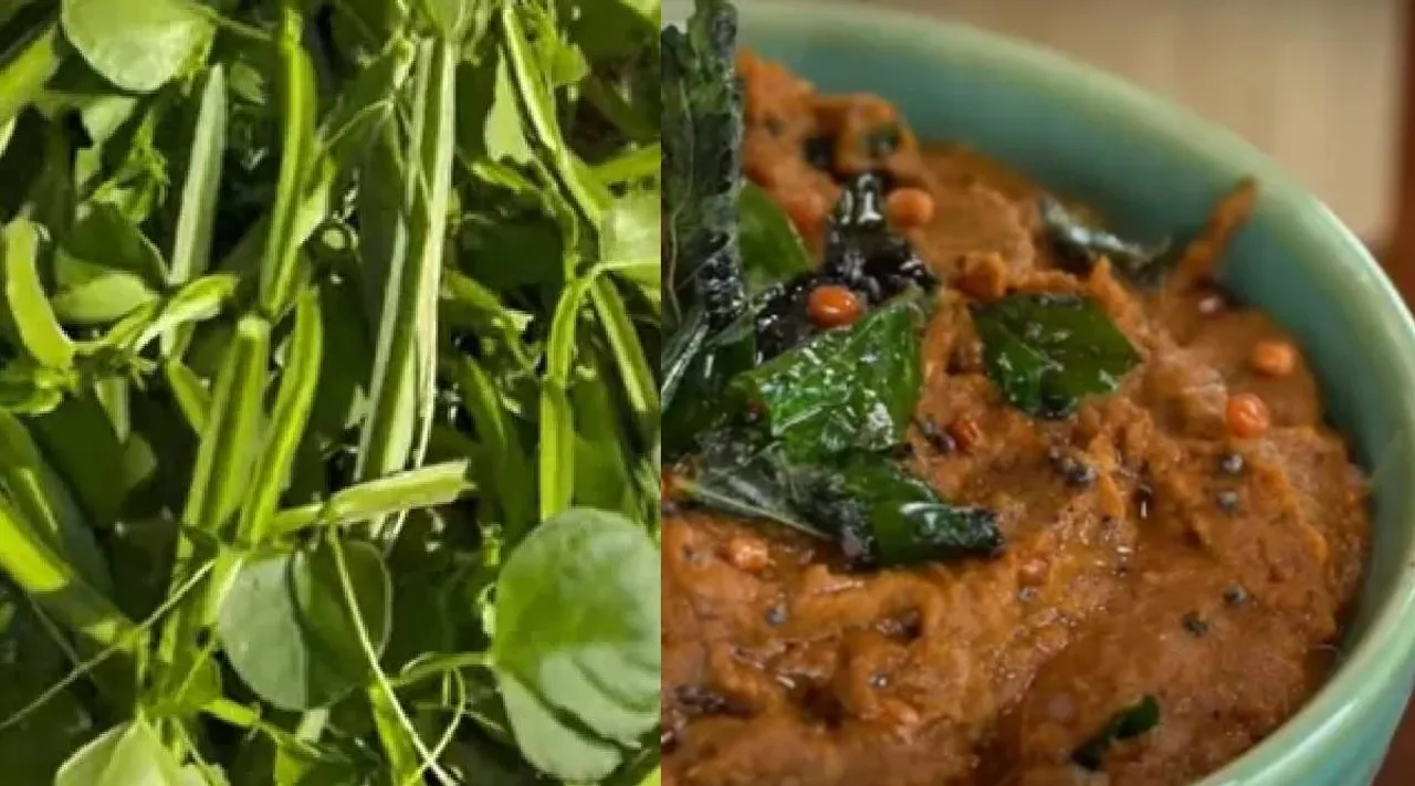 Pirandai thuvaiyal recipe