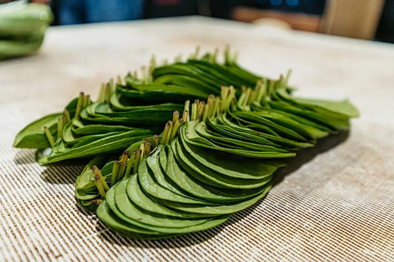 betel leaf