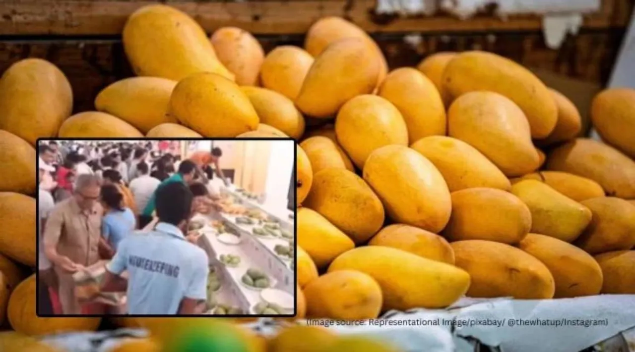 Mango festival civic sense
