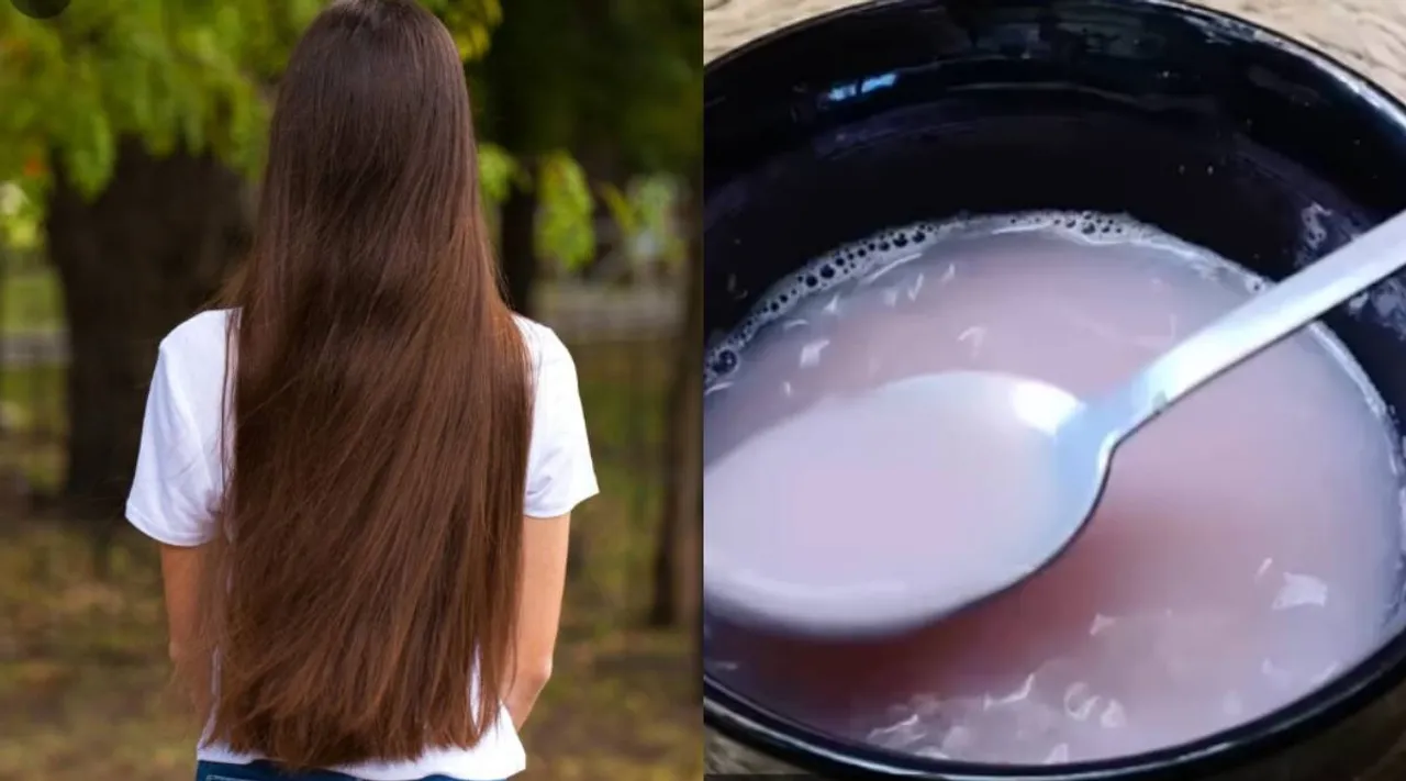 log hair onion
