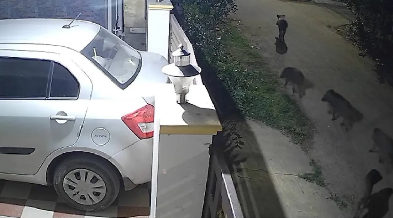 Cbe cctv