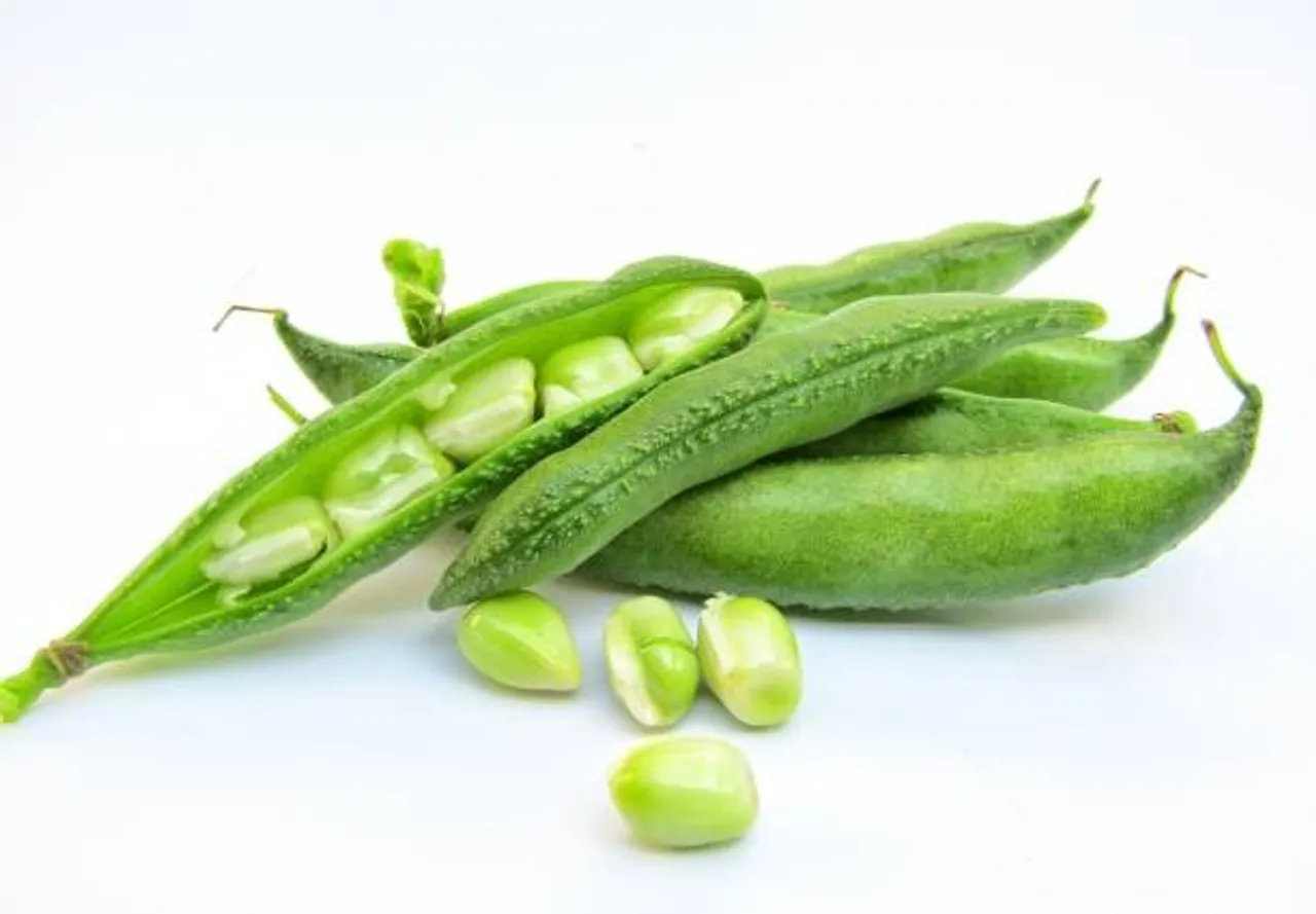 avaraikkaai