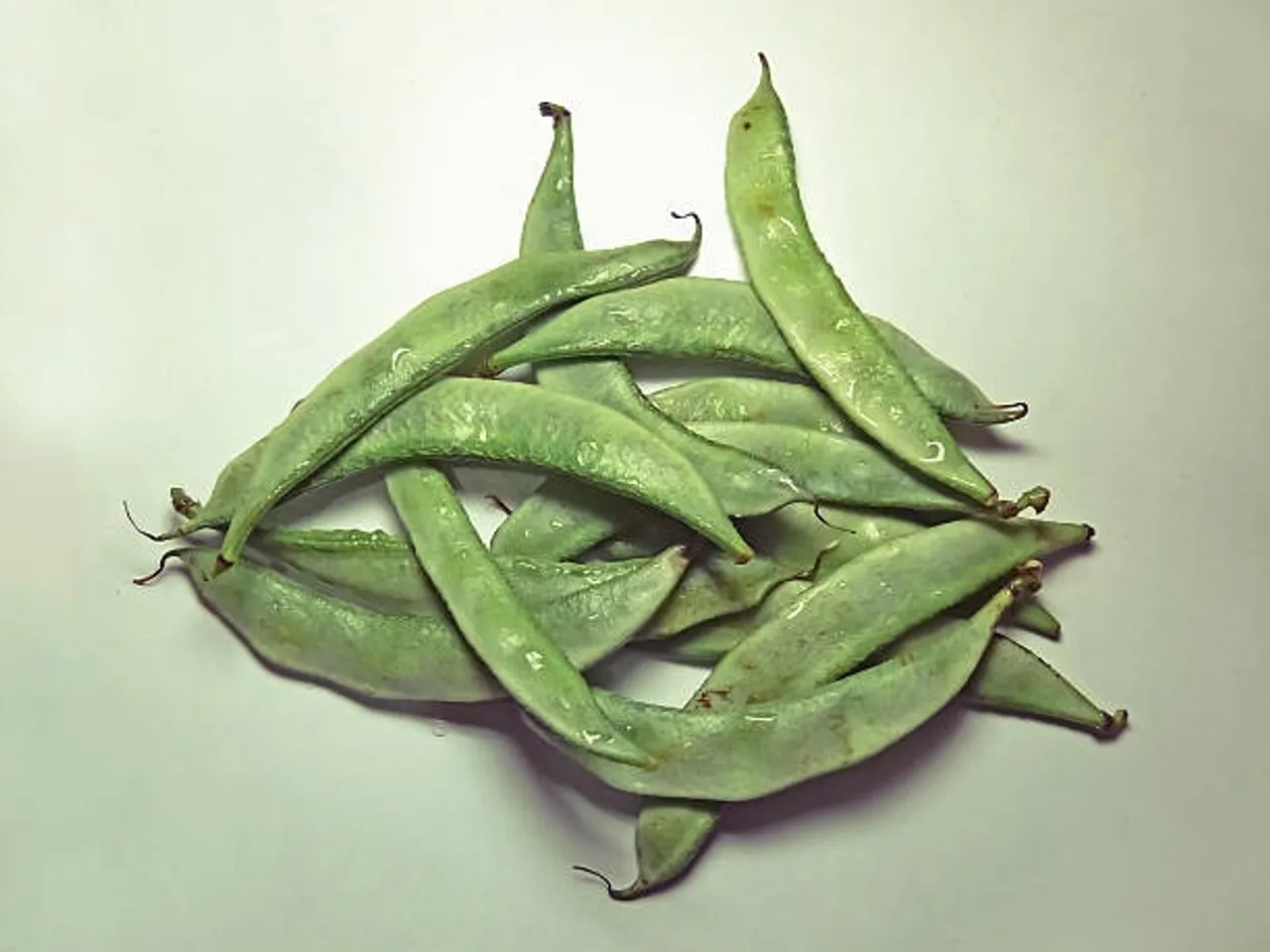 avaraikkaai