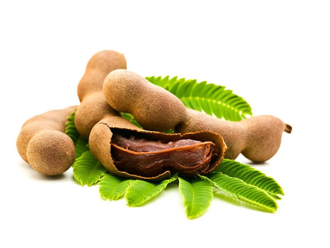 tamarind