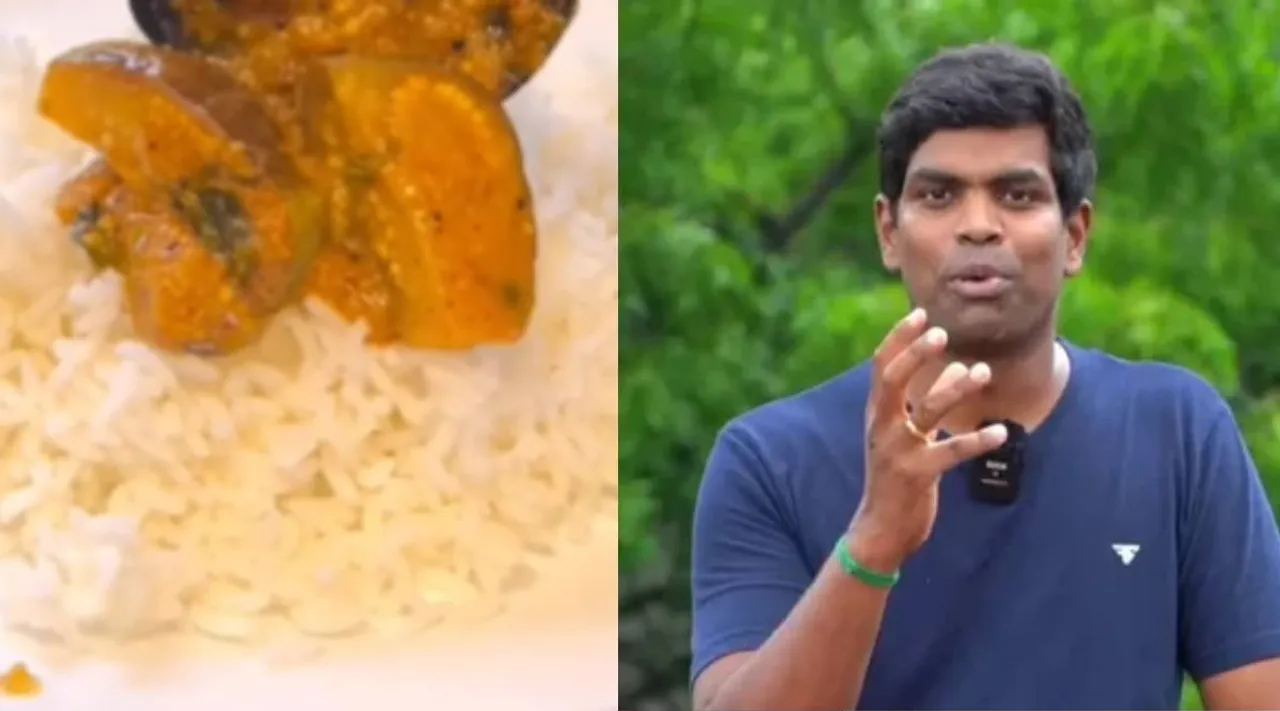 Brinjal Rasavaangi Recipe