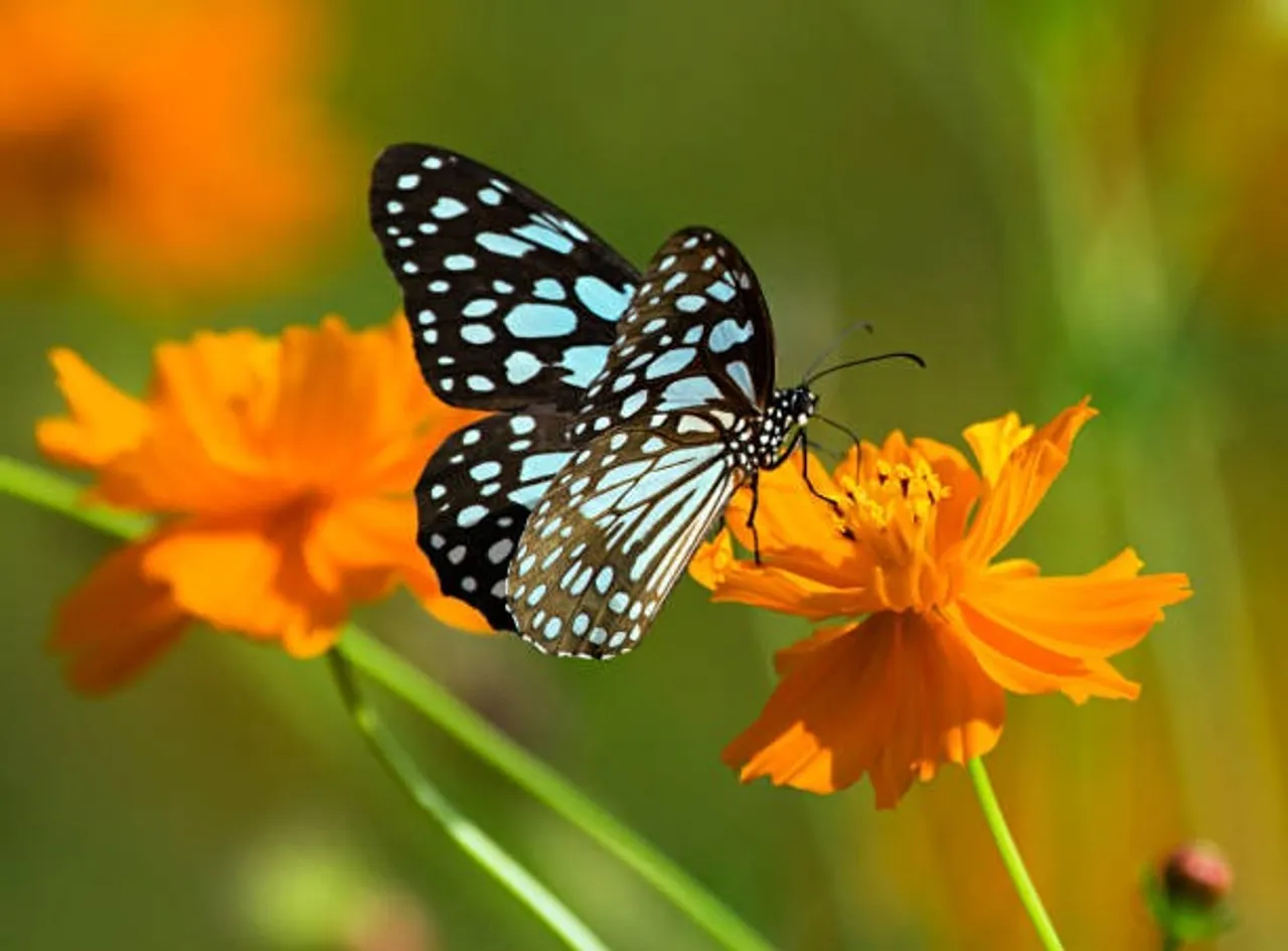 istockphoto-849220486-612x612