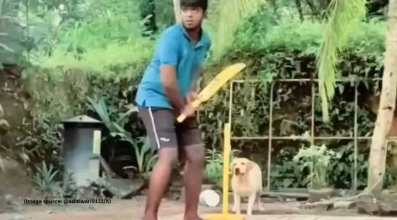 Dog plays Gully Cricket 1