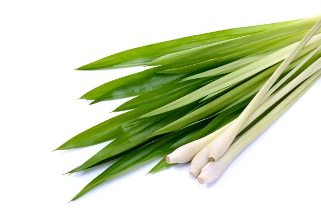 istockphoto-1018851274-612x612