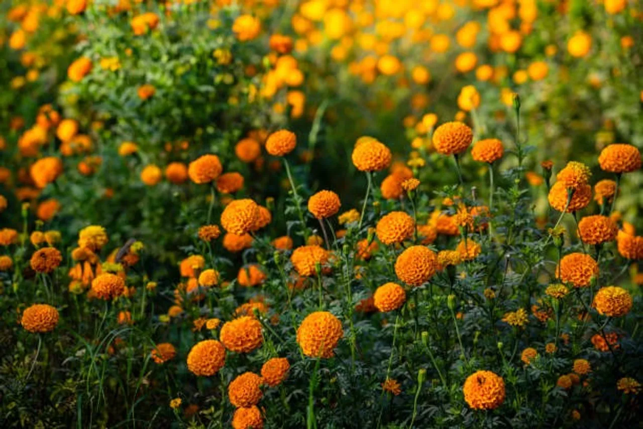 istockphoto-2198211151-612x612