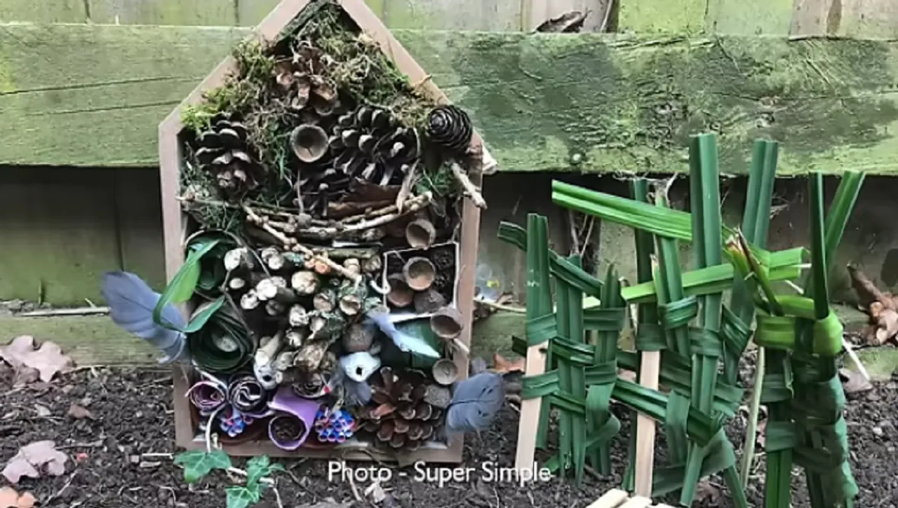 Gardening tips Tamil Organic fertilizer