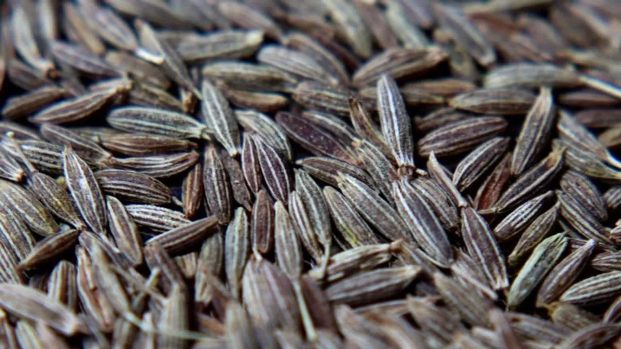 cumin