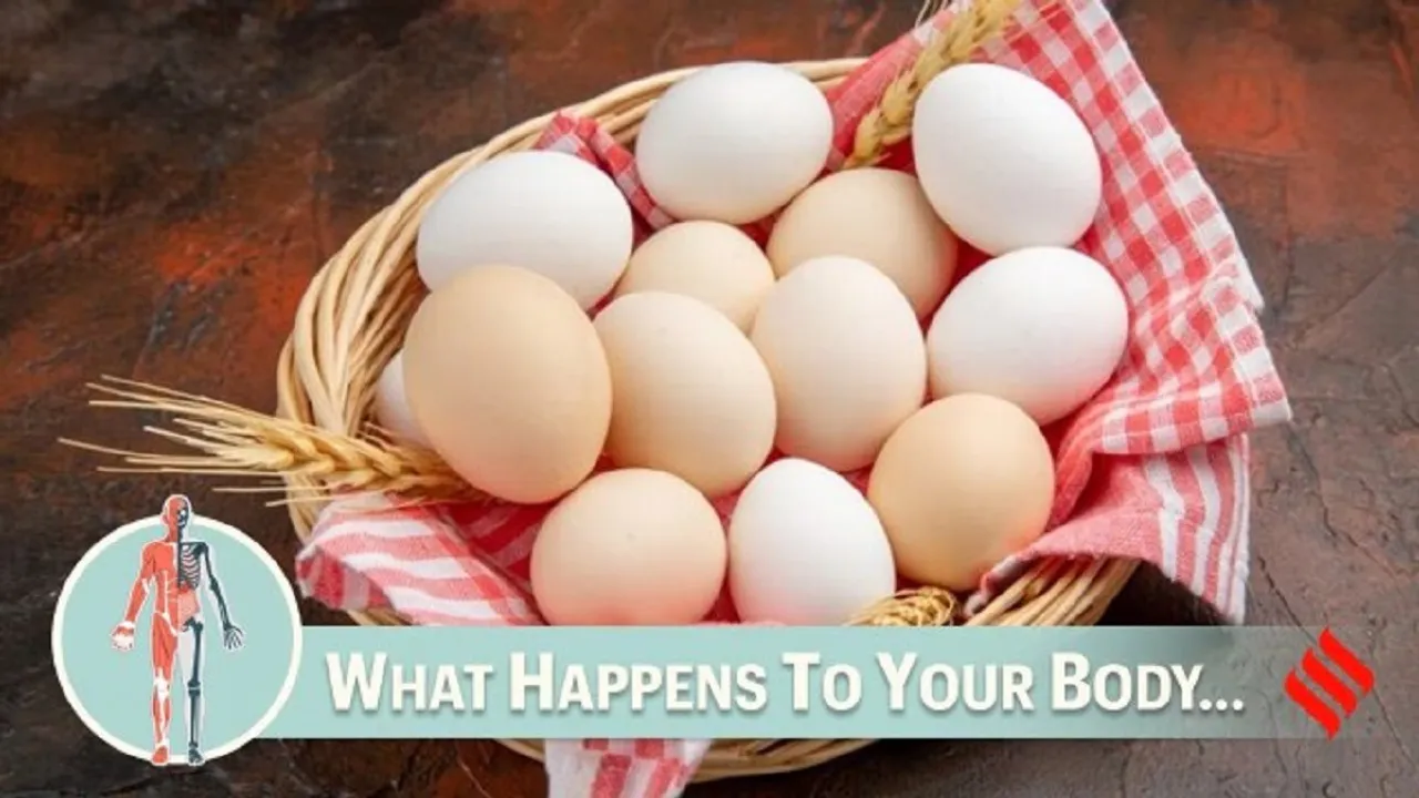 Eggs Health Protein
