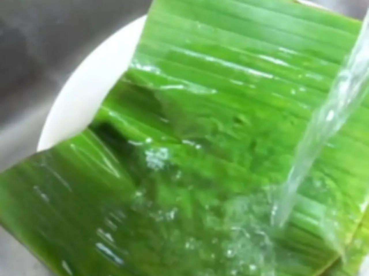 vaazhai ilai thuvaiyal