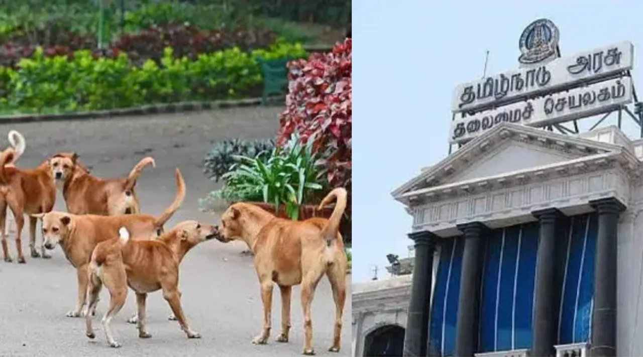Dogs mercy killing