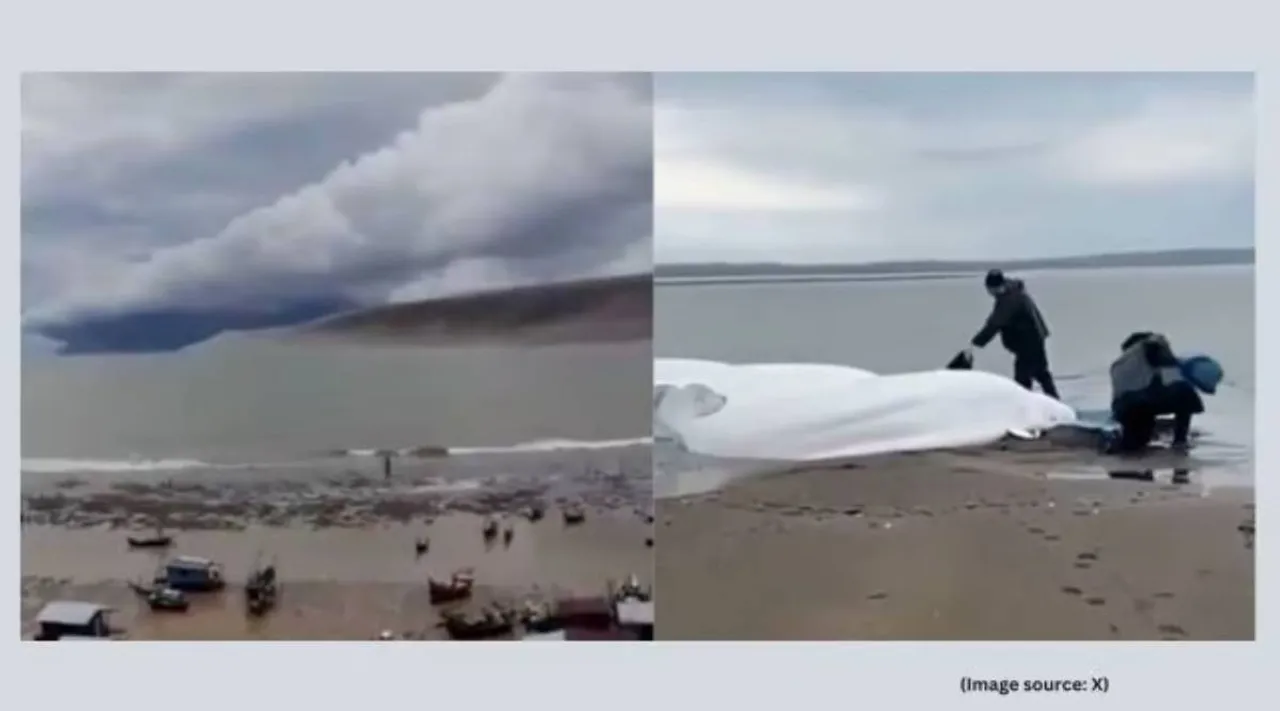 Japan tsunami 1